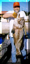 Dave again with 61lb Grouper from deep sea trip.